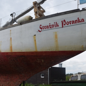 Strażnik-poranka-37