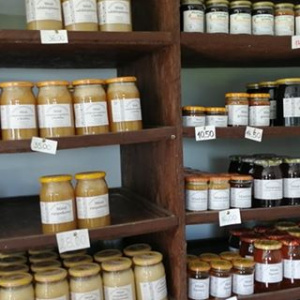 67081598_2496596757266204_2070960146967691264_n