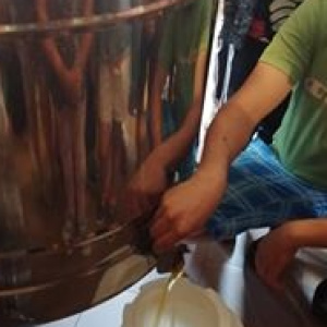 67298388_2367124123524398_7271645958755057664_n