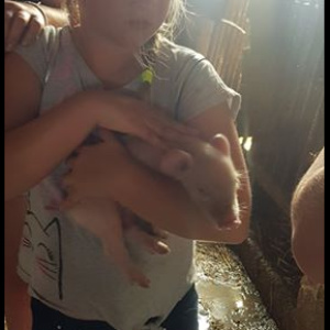 67318956_454238161825968_2323330904862228480_n