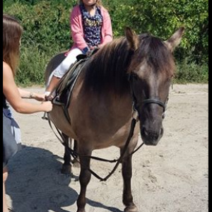 67326821_429424064330643_1793782053108449280_n