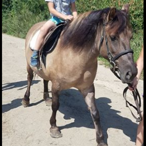 67336142_472990770164685_1299889693428547584_n