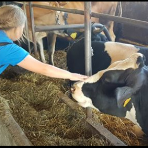 67533693_2318853054863089_1791312751855927296_n