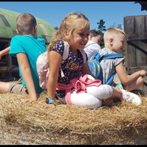 67804382_462513817879478_5786219390445813760_n