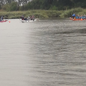 68751534_518175212058605_9190260849774690304_n