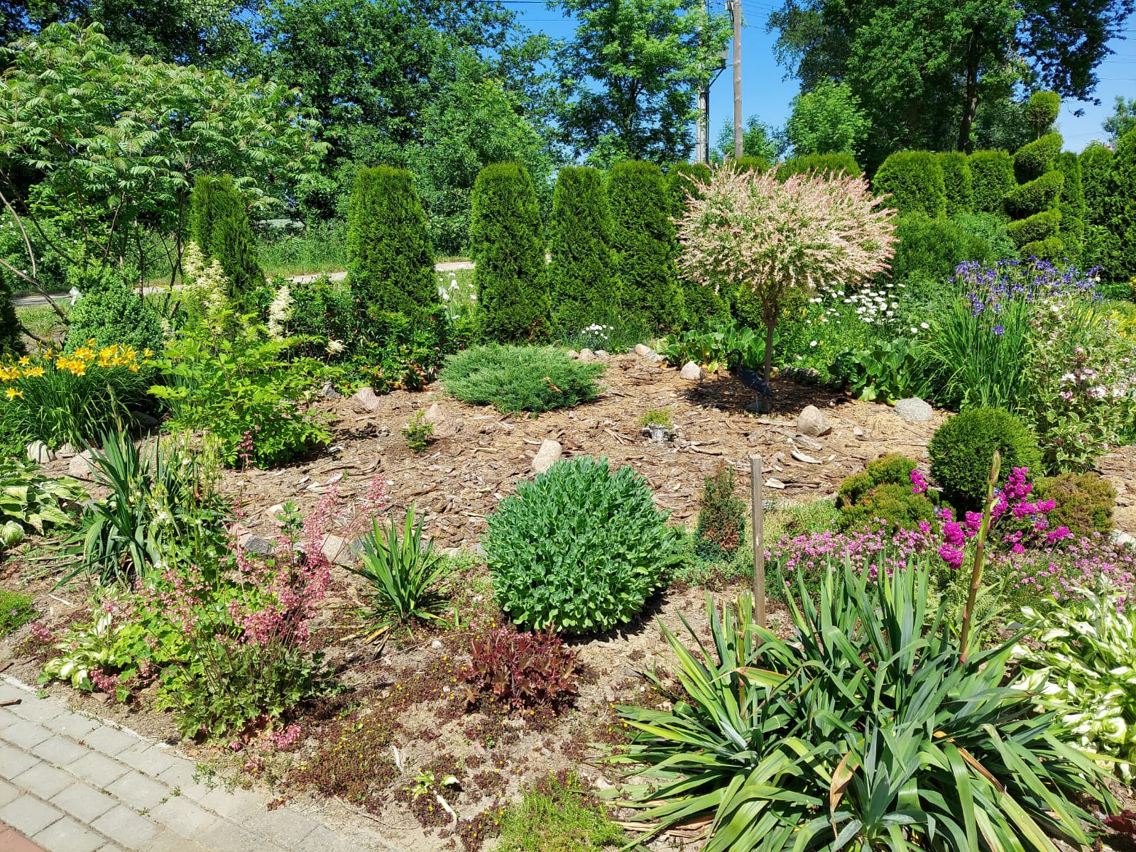 Niech zwycięży najpiękniejsza