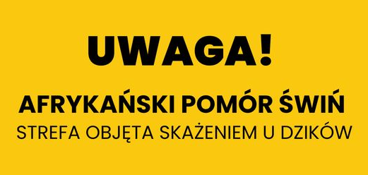 UWAGA! AFRYKAŃSKI POMÓR ŚWIŃ