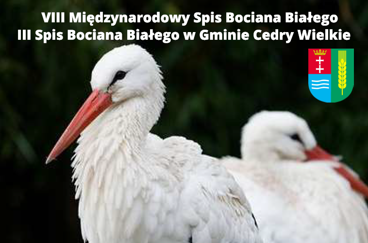 VIII Międzynarodowy Spis Bociana Białego